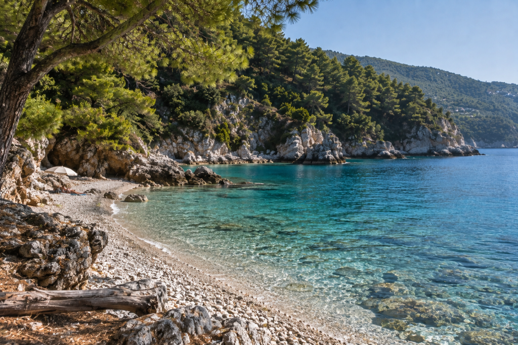 Quiet pebbled beach beneath pine-covered hills on Skopelos