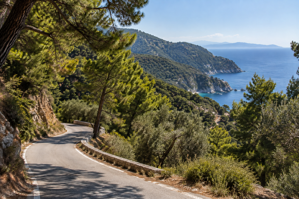 Winding road through pine forest on Skopelos with views of the Aegean coast.