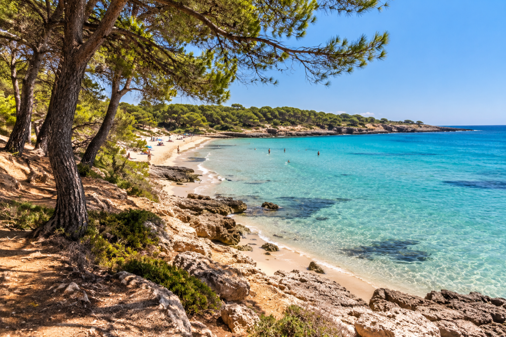 Sandy Ionian beach near Gallipoli bordered by Mediterranean pine trees and clear blue water.